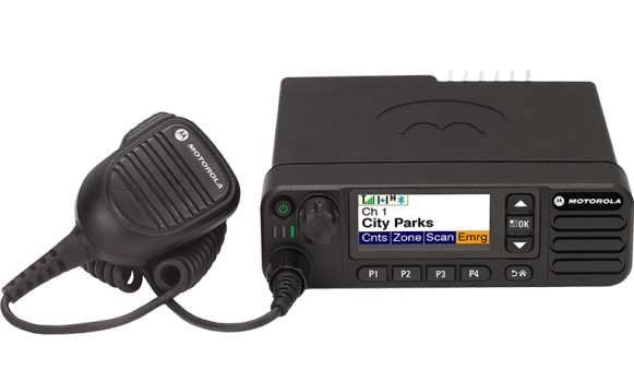 0795142001617267517 1